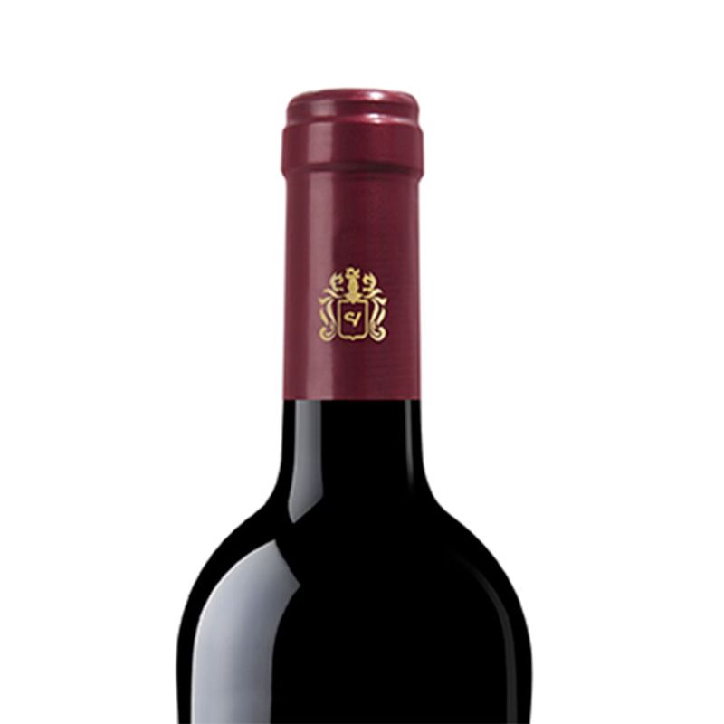 Vinho-Fino-Tinto-Seco-Solar-Viejo-Crianza-750ml