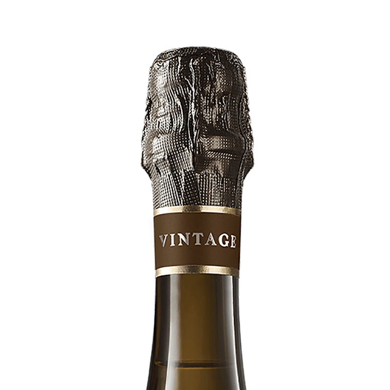 ESPUMANTE-SEGURA-VIUDAS-PREMIUM-BRUT-VINTAGE-750ML_img-3--1-.png